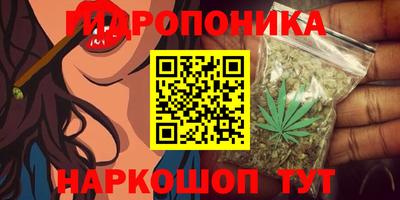 молекула духа Краснознаменск