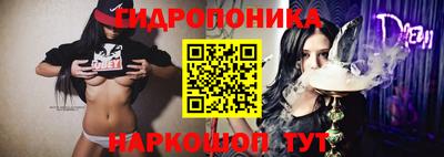 молекула духа Краснознаменск