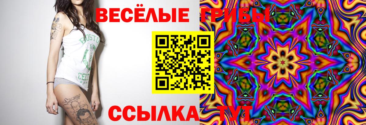 Псилоцибиновые грибы Psilocybe  Вход с VPN  Галлюциногенные грибы GOLDEN TEACHER  Красноармейск 